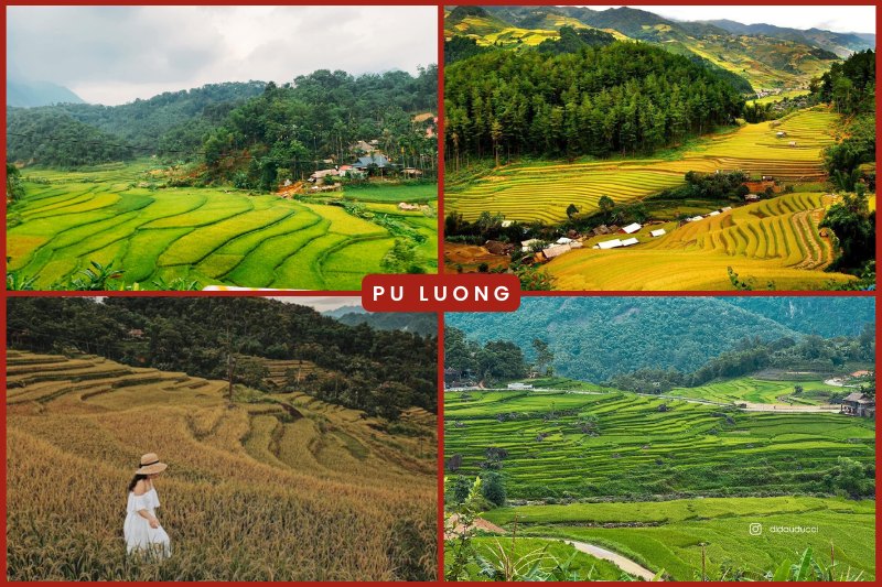 Pu Luong Terraced fields in Vietnam
